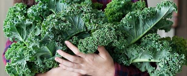 Can Kale Cause Hypothyroidism?