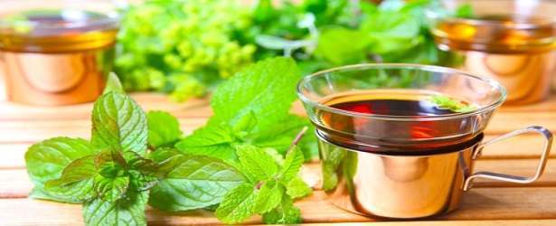 Herbal Thyroid  Treatment